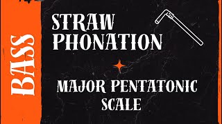 Straw Phonation with Major Pentatonic Arpeggio — Vocal Exercise for Bass  The Vocal Gallery [upl. by Peta]