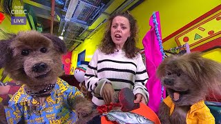 CBBC Continuity  27th September 2024 [upl. by Retsbew]