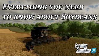 Everything you need to know about Soybeans in Farming Simulator 22 [upl. by Alderson592]