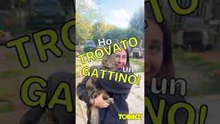 Ho TROVATO un GATTINO [upl. by Ainahs]