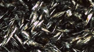 Trachyte Obsidian Thin Section [upl. by Dannica]