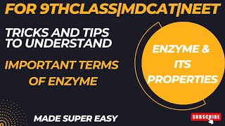 Understand terms Holoenzyme vs Apoenzyme vs cofactor vs coenzyme with very easy amp simple tricks [upl. by Itnahsa]