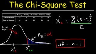 Chi Square Test [upl. by Seigel102]