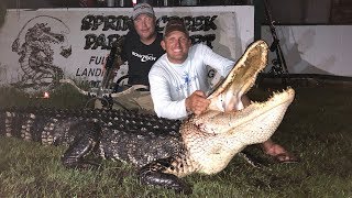 Massive Alligator HUNT CLEAN COOK Complete Video GOURMET [upl. by Orme]