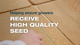 Seed Health – Using Automation to Deliver HighQuality Seed [upl. by Laehcor]