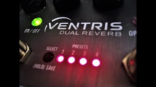 Source Audio Ventris Reverb  Great Presets [upl. by Briana]