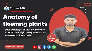 Anatomy of flowering plants Lecture 03 for Class 11 amp NEET Thorax100 [upl. by Ynot966]