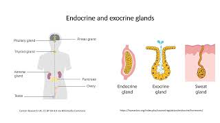 Hormones and classification [upl. by Oilegor]