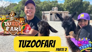 TUZOOFARI  osos leones aves y víboras  parte 2 [upl. by Weylin448]