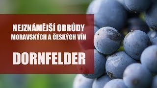 Odrůdy našich vín  Dornfelder [upl. by Sillig]