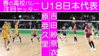 【春の高校バレー2024注目選手⑧】U18日本代表トスアップ集 原亜久里選手星城高校＆吉田紗奈衣選手誠信高校 [upl. by Enened617]