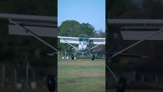 AOPA Cessna 170 Three Point Landing [upl. by Krug]