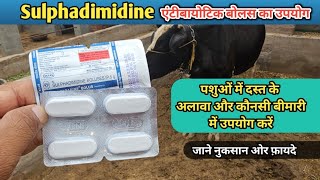 Sulphadimidine Antibiotic टेबलेट का उपयोग पशुओं की कौन सी बीमारी में कैसे करें  क्या रखे सावधानी [upl. by Christabel]