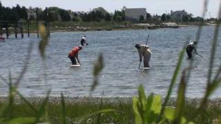 West Island Ma Quahogging Round Cove [upl. by Naej]