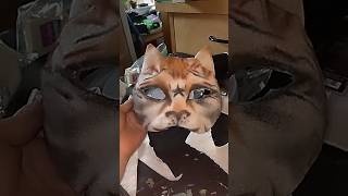 You like it noahfinnce maskmaking quadrobics antizoo art catmask therian [upl. by Nylhtac567]