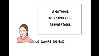 Anatomie de l’appareil respiratoire [upl. by Aschim]