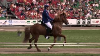 T1 prel Kristín Lárusdóttir WC Icelandic Horses IslandpferdeWM VM Islandshästar 2015 [upl. by Lemuelah]