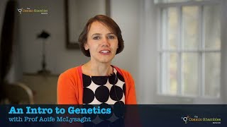 Prof Aoife McLysaght  An intro to genetics [upl. by Ttevi]