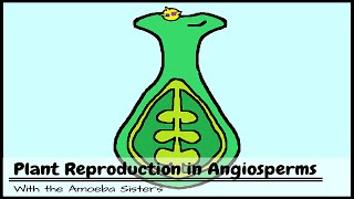 Plant Reproduction in Angiosperms [upl. by Betti]