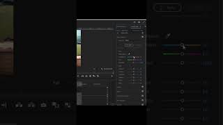 Color Grading Raw Clips  Premiere Pro Tutorial  Color Grading Tutorial Series Day 2 [upl. by Theresita616]