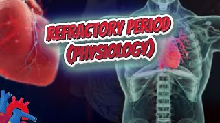 Refractory period physiology  Human Heart and Cardiology ❤️❤️❤️🔊✅ [upl. by Ainosal]