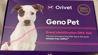 Orivet dog DNA test Does it work [upl. by Freemon]