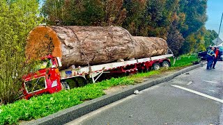 Dangerous Fastest Heavy Logging Truck Fails Climber Skill Extreme Operator Huge Truck Fail Machines [upl. by Hutchins812]