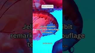 Jellyfish camouflage technique share subscribe shorts [upl. by Yalahs]