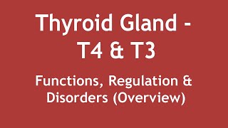 Thyroid Gland  T4 amp T3 Functions Regulation amp Disorders Overview ENGLISH  Dr Shikha Parmar [upl. by Nima]