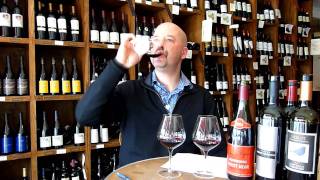 What are the differences between Pinot Noir Cabernet and Merlot  Tell me Wine TV [upl. by Gates]