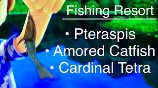 Lets Play Fishing Resort Wii Pteraspis Armored Catfish Cardinal Tetra [upl. by Alleuol]