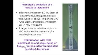 Treating Difficult Infections XDR Pseudomonas aeruginosa by Federico Perez MD [upl. by Yerag503]