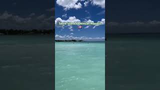 Saona Island Dominican Republic 🇩🇴 shortvideo fannycomedy fannymoments fannyvideo [upl. by Lusty]