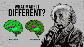 How Einstein Brain Was Different Than Others  Tazkeyavibes [upl. by Ydna816]