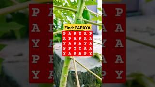 Observation Visual Test 5 Seconds For You To Spot quotPAPAYAquot Try Your Skills shorts braintest [upl. by Ecinahs]