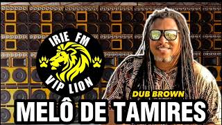 melô de tamiresirie fm vip liondub brow [upl. by Golter]