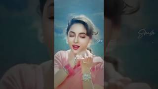 Dil💗Tera Aashiq  Madhuri Dixit🌹 Salman Khan💐Kumar Sanu Alka shortvideo youtubeshorts ytshorts [upl. by Llesirg]