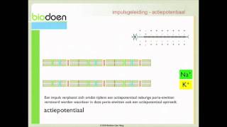 Biodoen  impulsgeleiding 2 van 5 [upl. by Caryl]