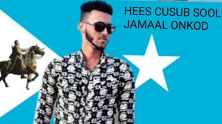 JAMAAL ONKOD HEESTII HA DUUGOOBIN SOOLEEY OFFICIAL VIDEO [upl. by Meingoldas672]