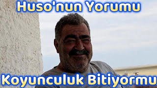 KOYUNCULUK BİTİYORMU  HUSONUN YORUMU [upl. by Eiramyma]