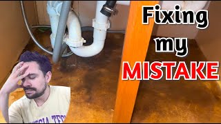 Don’t Make this Mistake Fixing Kitchen Sink Leak [upl. by Soirtemed665]