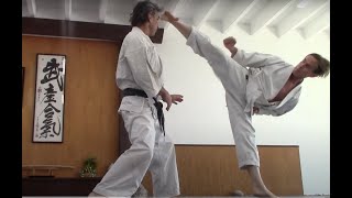 Zen Karate  Rick Hotton [upl. by Burr26]