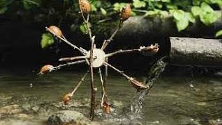 Wasserrrad aus Nussschalen  walnut shells waterwheel [upl. by Sudnor857]