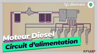 Le circuit dalimentation dun moteur diesel [upl. by Oralee535]