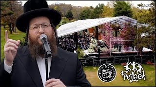 The Freilach Band Chuppah Series ft Shloime Daskal amp Shira Choir  Ani Ldodi  Katonti  Ki Karov [upl. by Jacky]