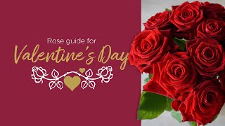 Guide to Valentines Day Roses [upl. by Anuaik]