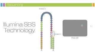 Intro to Sequencing by Synthesis Industryleading Data Quality [upl. by Gardiner]