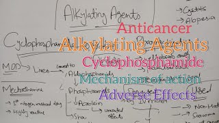 Anticancer drugs  alkylating agents Cyclophosphamide Mode of action [upl. by Zelazny604]