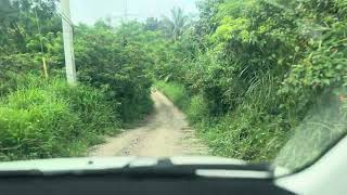 Tanay tree planting site Drs Matignas Small House [upl. by Tegirb]