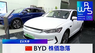 中国BYD 株価急落 EV大手【WBS】（2024年3月27日） [upl. by Renate]